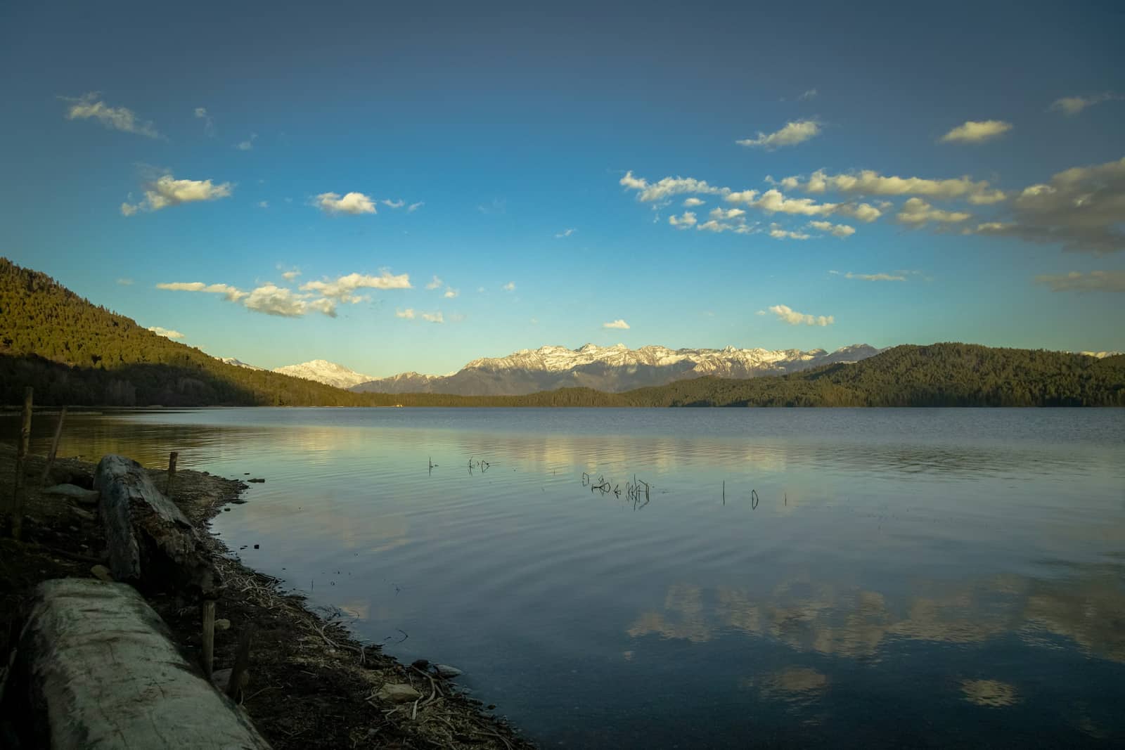Rara